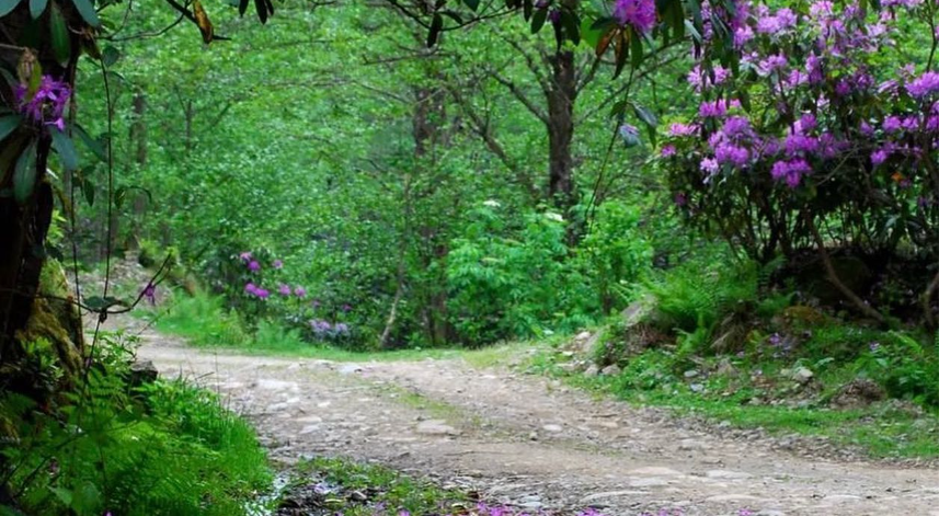 Viçe-Svaneti Fotoğraf Şenliği