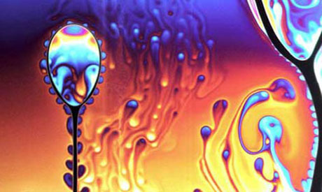 Motifler Resim Galerisi