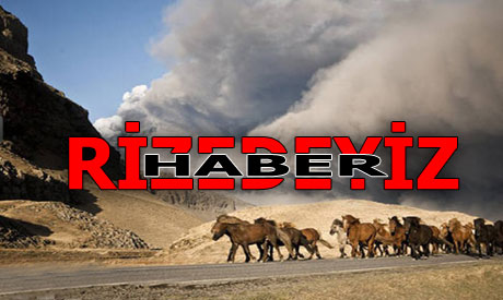 2010`nun Fotoğraflı Özeti