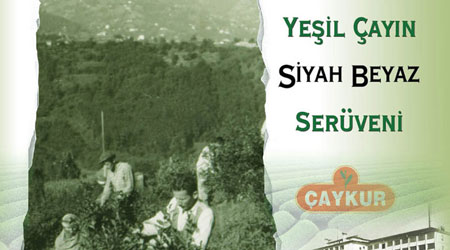 Yeşil Çayın Siyah Beyaz Serüveni