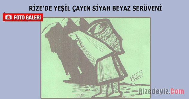 Yeşil Çayın Siyah Beyaz Serüveni