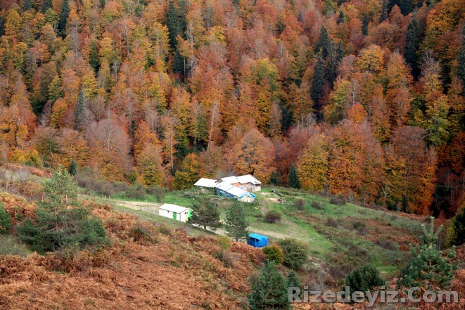 Yedigöller Manzarasıyla Büyülüyor