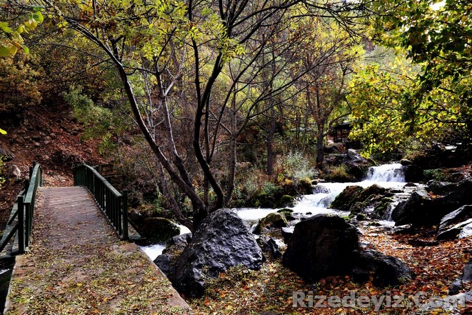 Giresun`dan Sonbahar Fotoğrafları