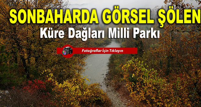 Sonbaharda Görsel Şölen