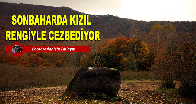 Sonbaharda Kızıl Rengiyle Cezbediyor