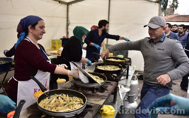 Bodrum`da Hamsi Festivali