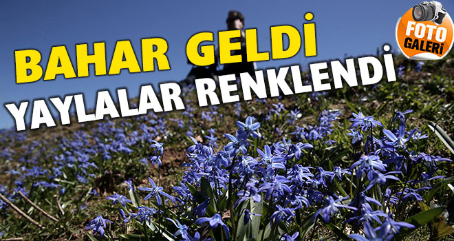 Bahar Geldi Karadeniz Yaylaları Renklendi