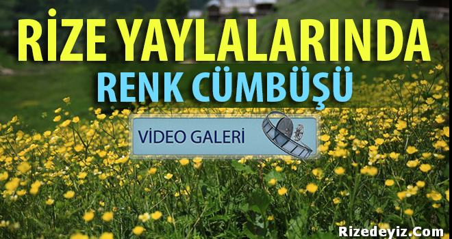 Rize Yaylaları Rengarenk
