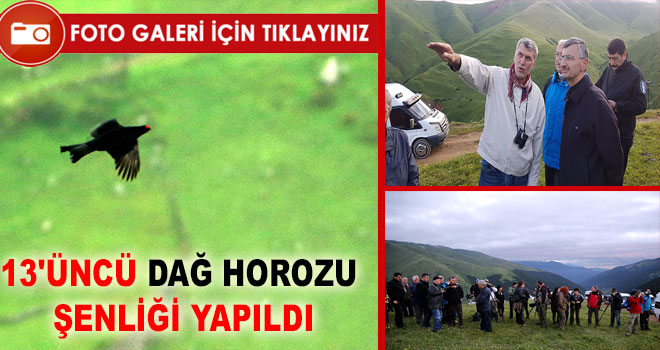 Dağ Horozu İçin Akın Akın Geldiler