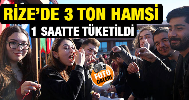 Rizede 3 Ton Hamsi 1 Saatte Tüketildi