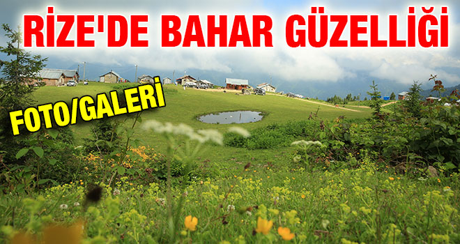 Rize`de Açan Çiçekler, Kartpostallık Görüntüler Oluşturdu