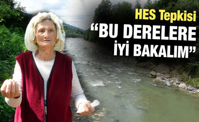 Doğal Sit Alanındaki HES Projesine Tepki