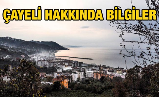 Çayeli İlçesini Tanıyalım