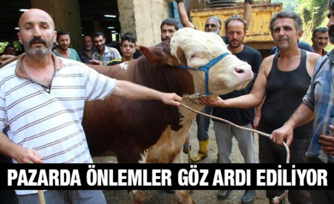 Kurban Pazarındaki Tonluk Boğalar Alıcı Bekliyor