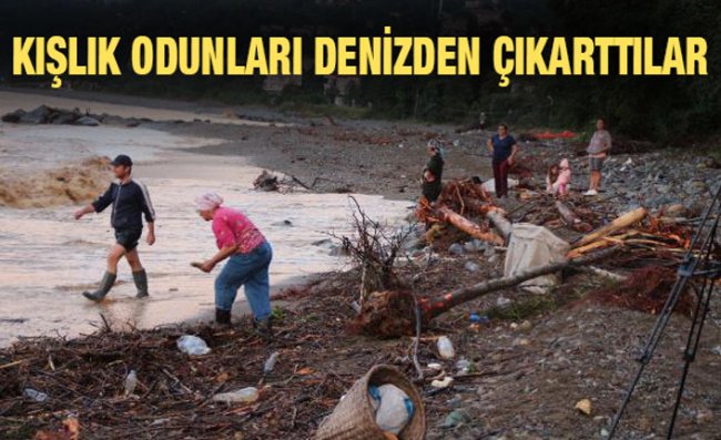 Selin Denize Sürüklediği Odunları Topladılar
