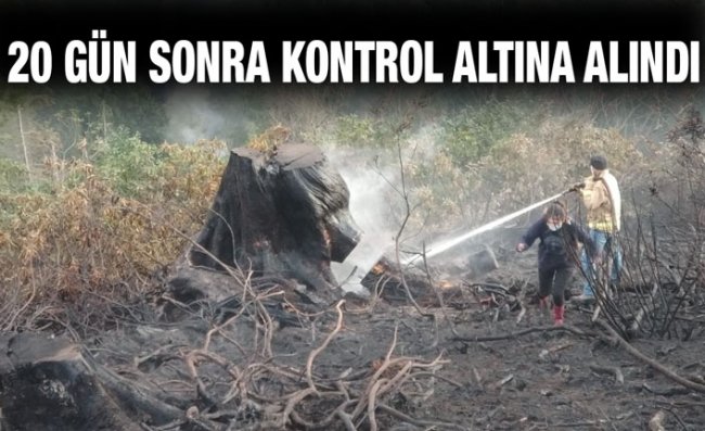 Çayeli'ndeki Yangın Nihayet Söndürüldü