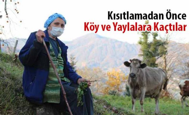 Doğu Karadenizliler Kısıtlamadan Önce Köy ve Yaylalara Akın Etti