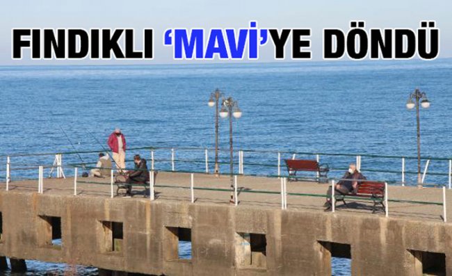 Tedbirlere Uyulan Fındıklı'da Harita Maviye Döndü