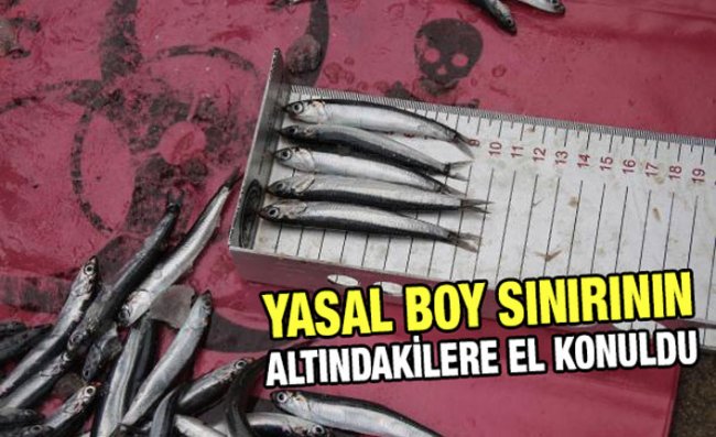 Rize’de Kısıtlamada 'Balık Boyu' Denetimleri Yapıldı