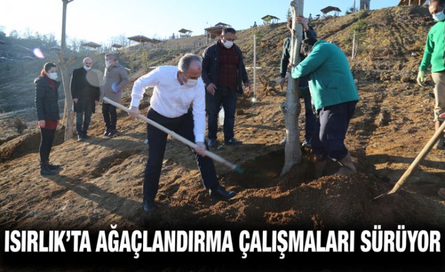 Isırlık Tabiat Parkı'nda Meyve Fidanlarının Dikimine Devam Ediliyor