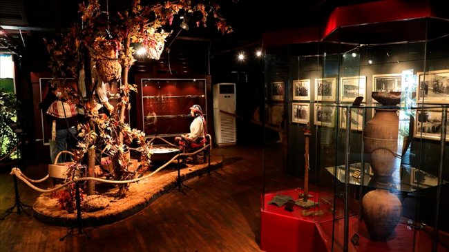 Çayeli Doğal Yaşam Müzesi