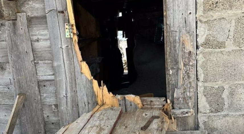 Aç kalan ayılar yayla evlerine dadandı