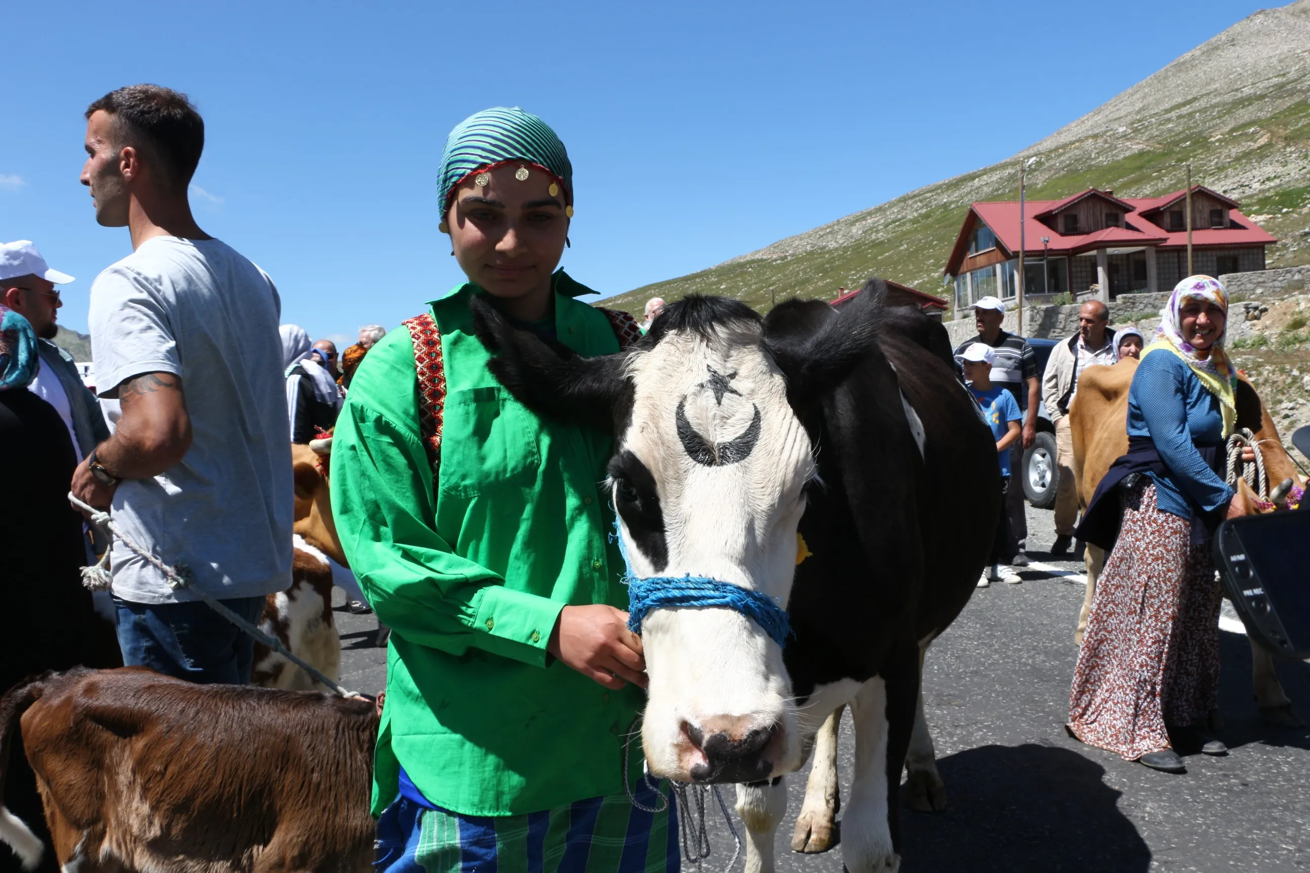 Yarışmayı kazanan inek yem ve samanı, sahibi ise para ödülünü kaptı