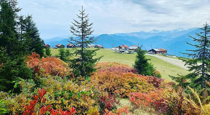 En güzel sonbahar Rize’de yaşanır...
