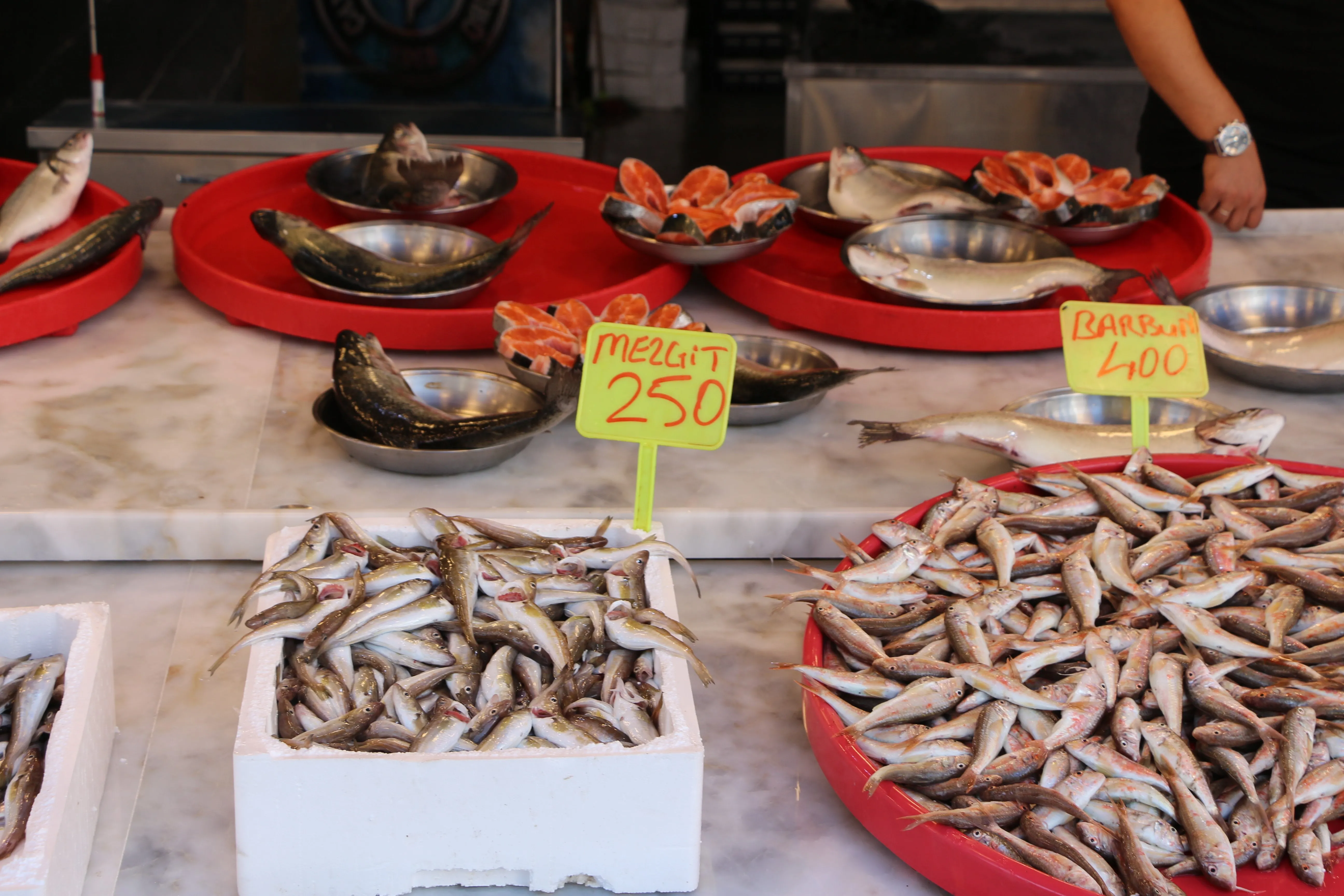 Balık yok ama umut var