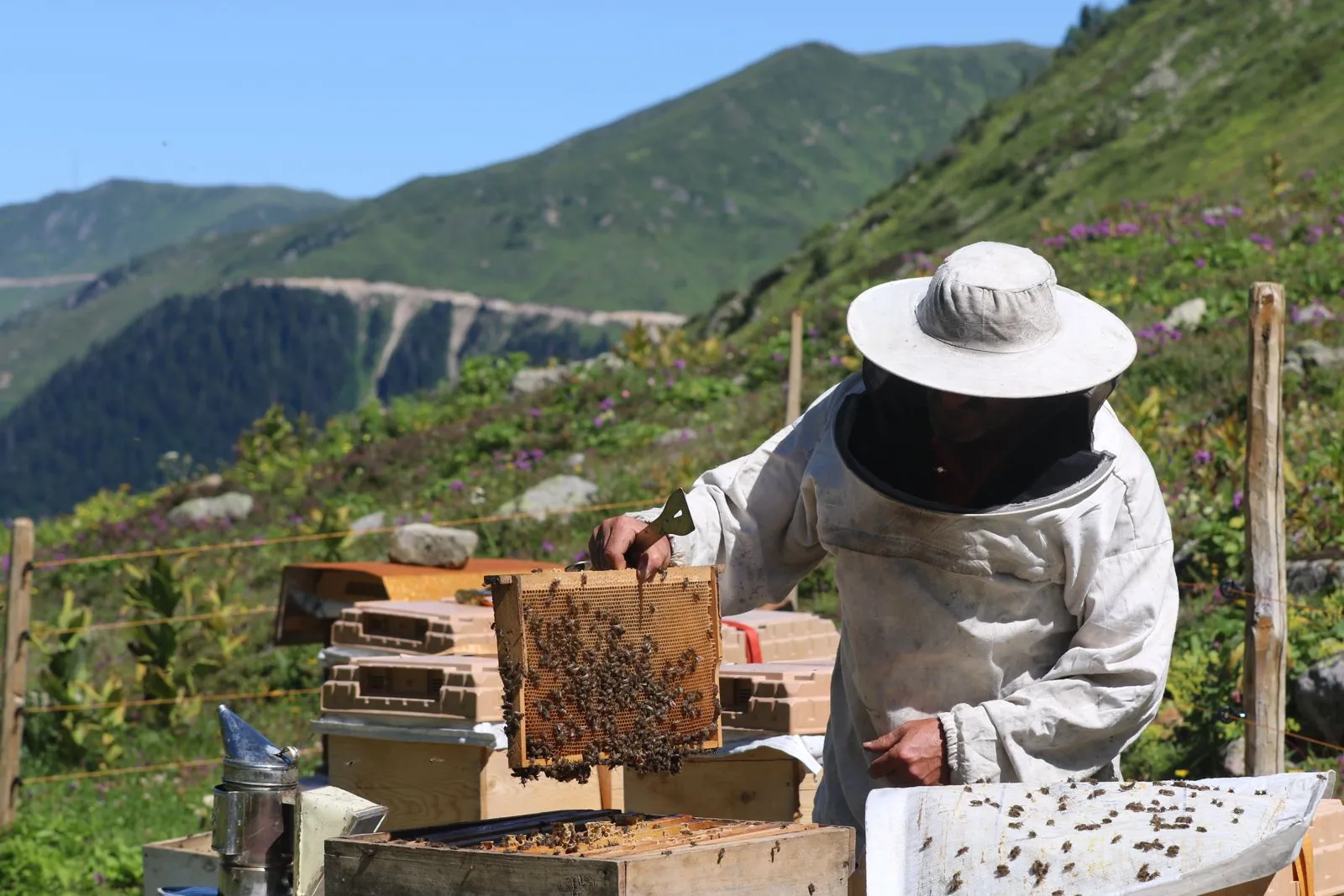 1- Alın terinin toprak rengi.