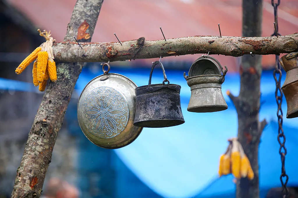 RİZE’NİN HAYATA KARIŞAN RENGİ
