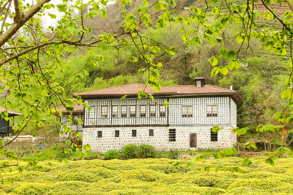 RİZE'NİN RENKLERİ