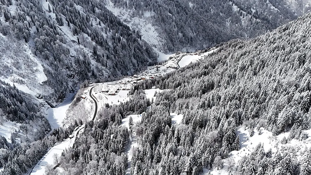 RİZE'NİN RENKLERİ