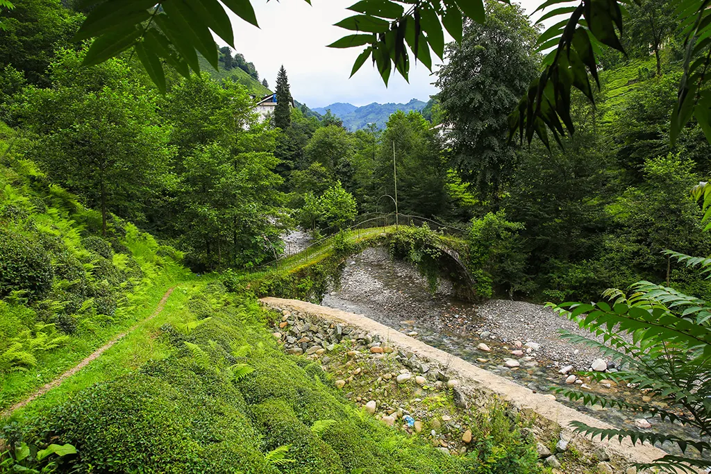 RİZE'NİN RENKLERİ