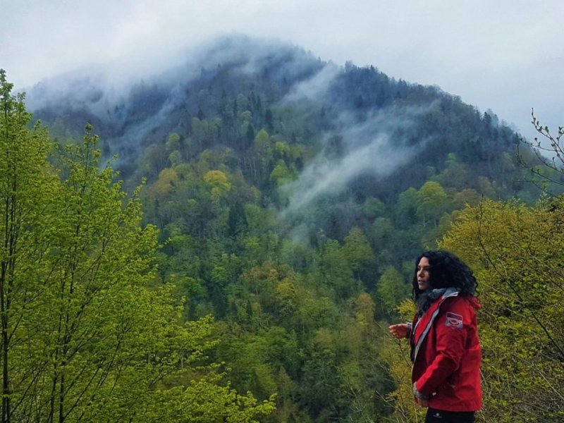 BAŞI DUMANLI DAĞLAR - Alışınca insan sıradan geliyor demek ki. Vadedilen cennette, tasvir edilen, altından ırmaklar akan yemyeşil yer işte tam da burası halbuki. Nereden bileceksin. Hiç Karadenizsiz kalmadın ki diye düşünüyorum. Duman Karadeniz’de pek sevilen birşey değilmiş. O bize güzel gözüküyor. Yol boyu karadeniz müzikleri eşlik ediyor. Bu coğrafyada başka birşey dinlemek insana keyif vermiyor. Geçtiğimiz yaz hiç karadeniz müziğimiz yoktu ve karadenizi baştan uca ege türküleriyle geçmiştik. İnanın bana bu coğrafyada gitmiyor.