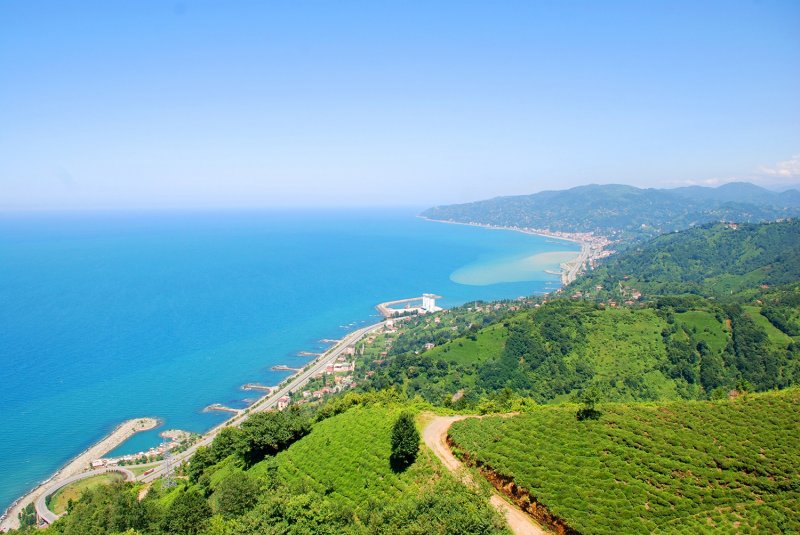 Çayeli, Rize'nin 18 km doğusunda yer alır. Yüzölçümü 473 km2, nüfusu ise 42 bin 356'dır. Doğudan Pazar, güneyinden Çamlıhemşin ve İkizdere, batıdan Rize merkez ve Güneysu, kuzeyden Karadeniz ile çevrilidir.