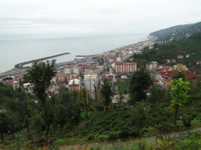 Çayeli’nde hem yerleşime, hem de bitkisel üretime elverişli tek alan dar kıyı şerididir. Nüfusun büyük bir bölümü burada toplandığı gibi, çay ekimi de bu kesimde yoğunlaşmıştır. Türkiye’deki çay ekim alanlarının üçte ikisi Rize ilinde, bunun da %18’lik kısmı Çayeli ilçesinin sınırları içindedir.
Maden kasabasında bakır madeni çıkarılıp, işlenmektedir.