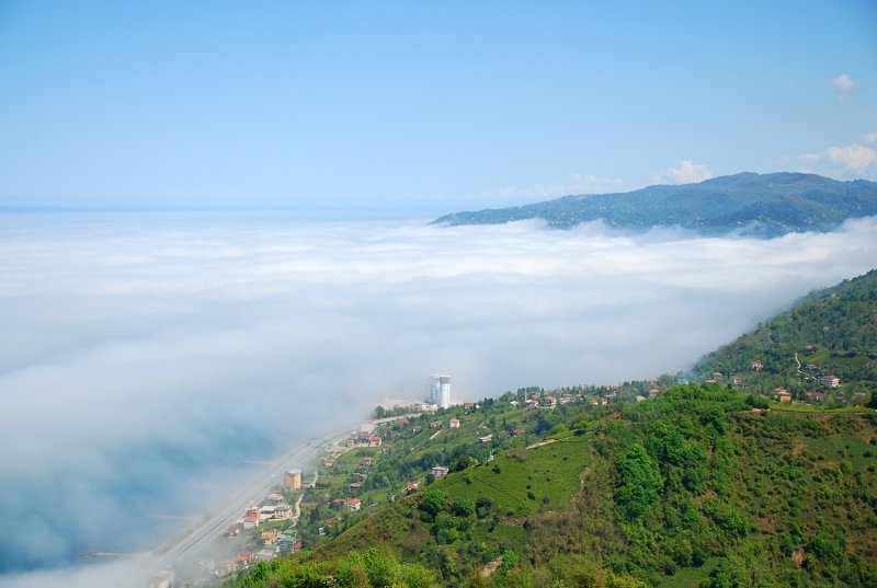 İlçe ekonomisinin temeli çay üretimine dayanır. Yörede çay üretimi başlamadan önce ana ürün mısırdı.