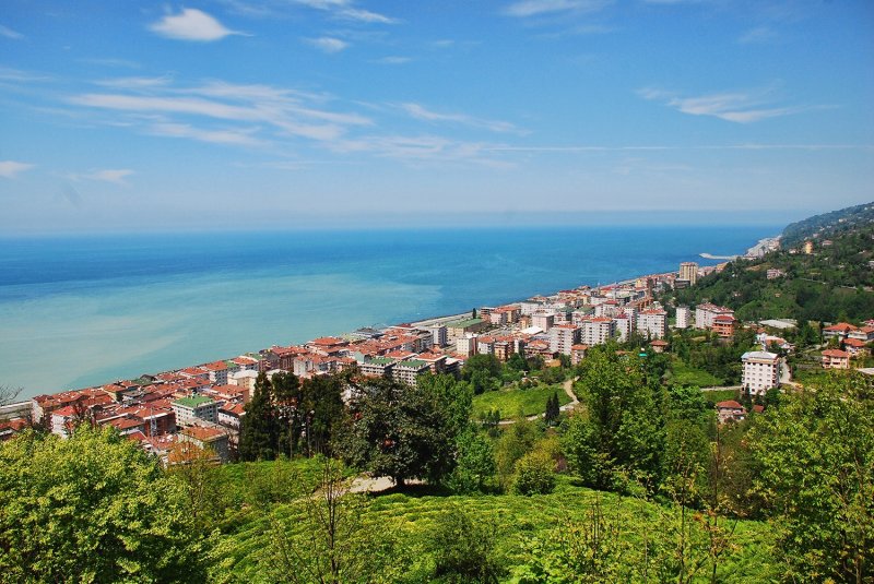 Eski adı Mapavri olan ilçe, daha sonraları Çaybaşı adını alarak 1944’de ilçe olmuştur. Daha sonra ismi tekrar değiştirilerek Çayeli olmuştur.