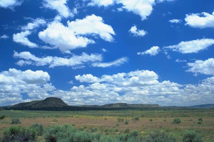 İnsan bir günde 28-33 bin litre hava, 500-700 litre oksijen, 2 kilogram yiyecek tüketir.