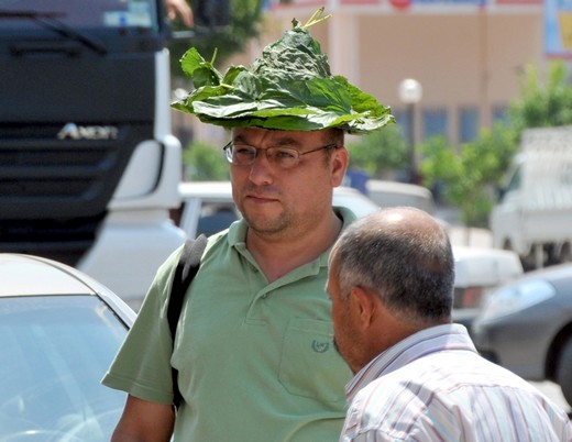 Ülke genelinde mevsim normallerinin 5 ila 7 derece üzerinde seyredecek olan hava sıcaklığı; Ağustos'un ilk günlerinde kuzey ve iç kesimlerde 3 ila 5 derece azalacak.