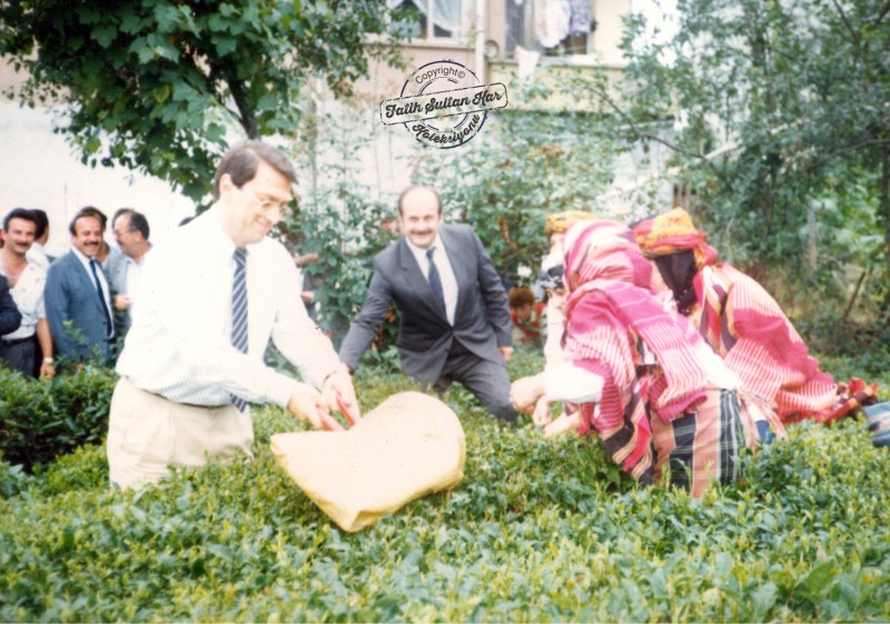 Mesut Yılmaz, Rize ziyaretlerinden birinde çay toplarken gözükmektedir. (Rize, 1993)