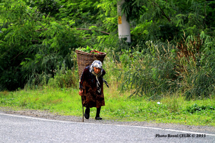Çelik bir başına çıktığı bu yolda aynı zamanda Rize ilinin gönüllü turizm elçisi gibi görev yapıyor. 1972 yılında Çayeli’nde doğan Çelik Türkiye’nin çeşitli şehirlerinde açmış olduğu ellinin üzerinde fotoğraf sergisi ile Rize ilinin tanıtımına da büyük katkılar sağladı. Çelik daha çok manzara ve porte çalışmalarına ağırlık veriyor.