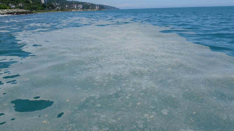 Müsilaj Sanıldı, Kabarcık Çıktı