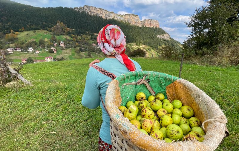 Doğu Karadeniz'in çalışkan kadınları