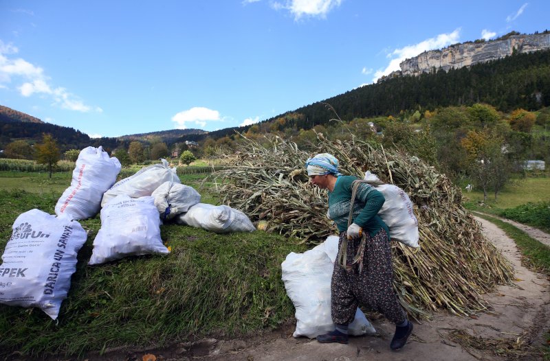 Doğu Karadeniz'in çalışkan kadınları