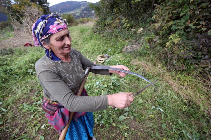 Doğu Karadeniz'in çalışkan kadınları