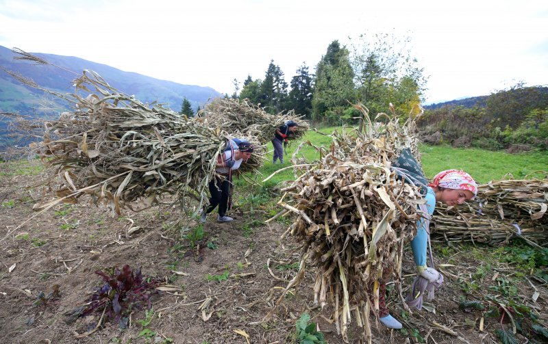 Doğu Karadeniz'in çalışkan kadınları