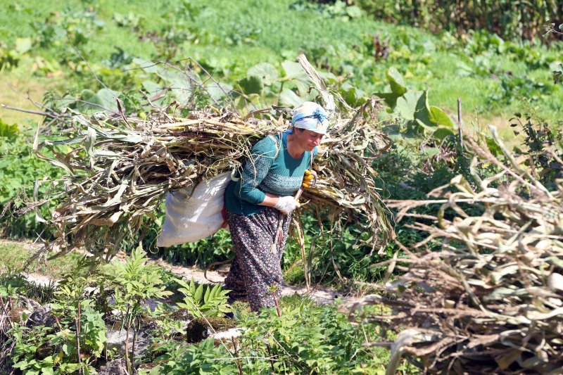 Doğu Karadeniz'in çalışkan kadınları