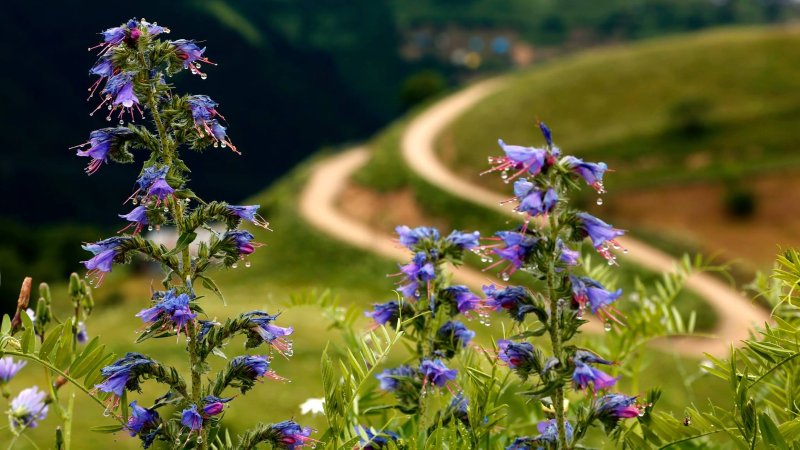 Rize’de nereyi görmeliyim?